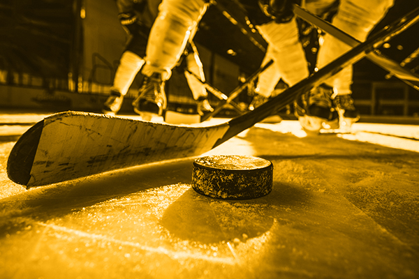 Boston Bruins Image
