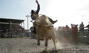 Fort Worth Stock Show & Rodeo Image