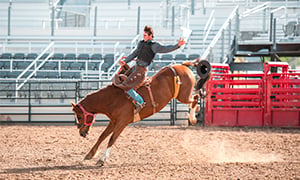 Reno Rodeo Image