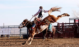 PBR-Professional Bull Riders Image