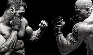 Ultimate Fighting Championship Image