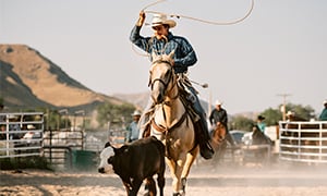 Rodeo Image
