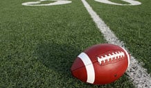 Atlanta Falcons Image