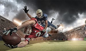Baltimore Ravens Image