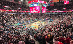 WNBA Basketball Image