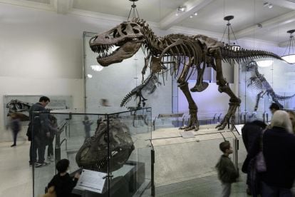 American Museum of Natural History