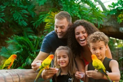 Discovery Cove® Day Resort Only Package