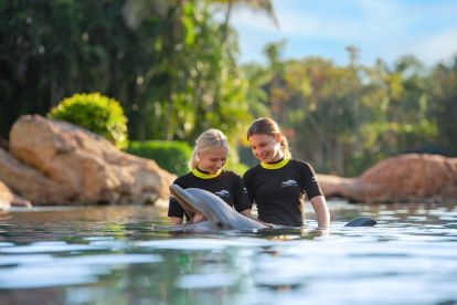 Discovery Cove® Dolphin Swim Only Package