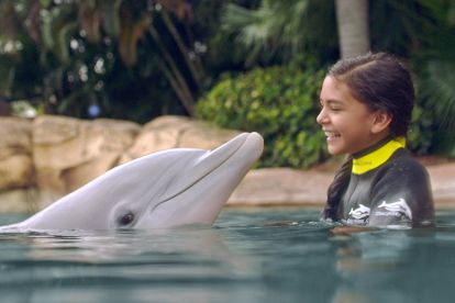 Discovery Cove® Dolphin Swim Only Package