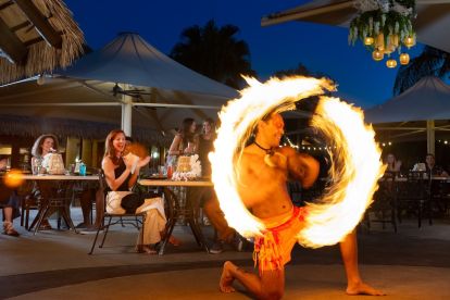 Discovery Cove: Paradise Nights Admission - Adult (10+)