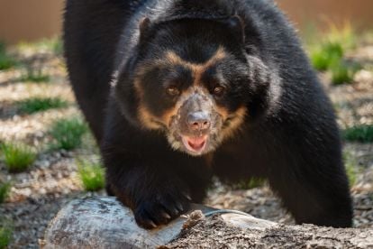Philadelphia Zoo