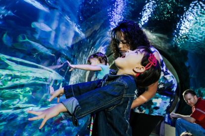 SEA LIFE Aquarium Kansas City