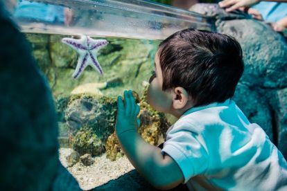 SEA LIFE Aquarium San Antonio